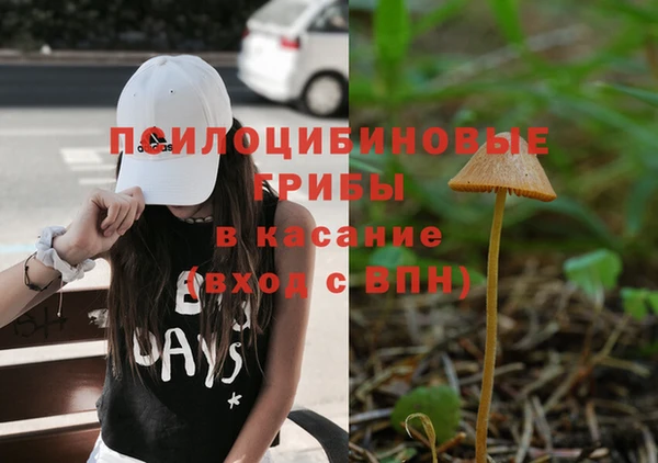 гашик Навашино